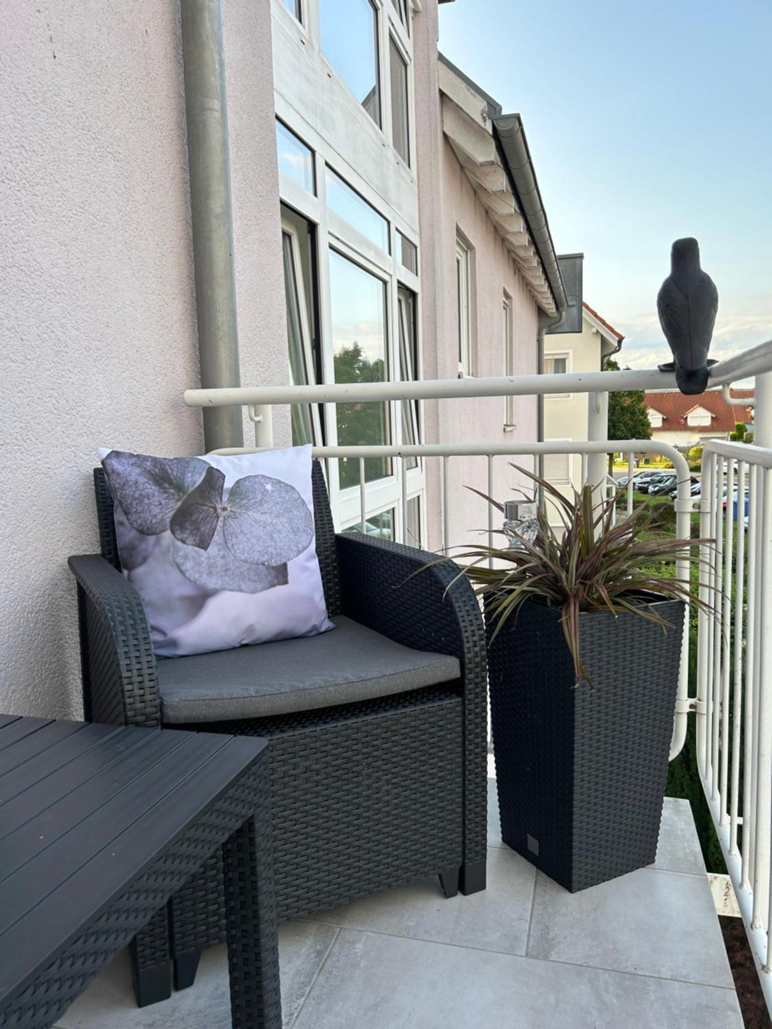 Ferienwohnung Als Wohlfuehlort In Sigmaringen Exteriér fotografie